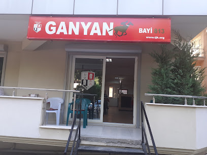 813 nolu ganyan