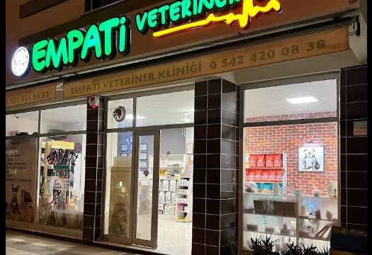 Empati