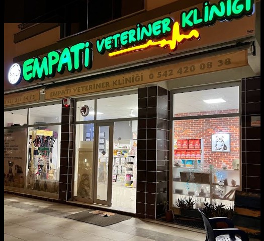 Empati