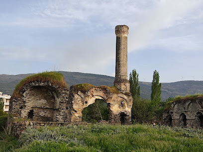 Tarihi tire kalıntısı