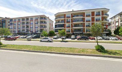 aksoylar otomotiv