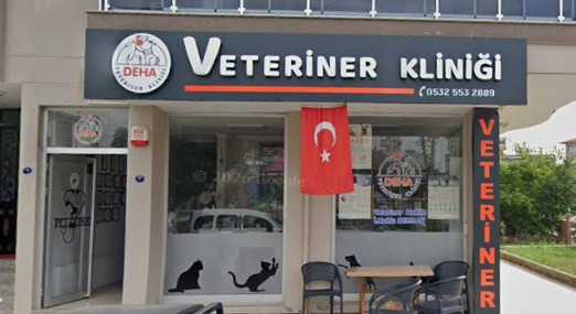 deha veteriner