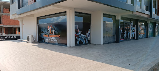 güreş taekwondo