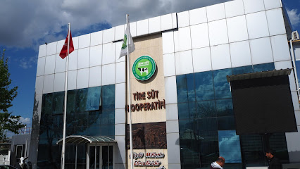 tire süt idari ofis